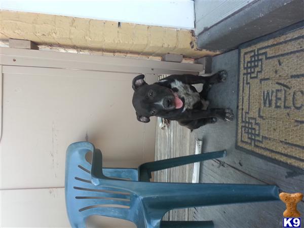 kelvinth Picture 2